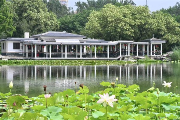 正规长沙配资平台 北京：入伏寻清凉 玉渊潭公园推出三处避暑宝地 荷花盛开添美景