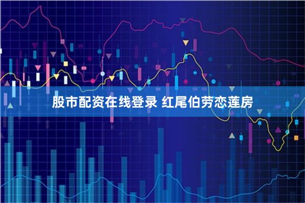 股市配资在线登录 红尾伯劳恋莲房