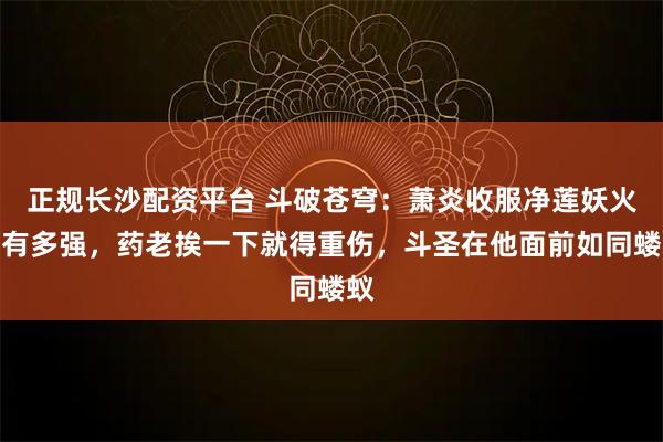 正规长沙配资平台 斗破苍穹：萧炎收服净莲妖火后有多强，药老挨一下就得重伤，斗圣在他面前如同蝼蚁
