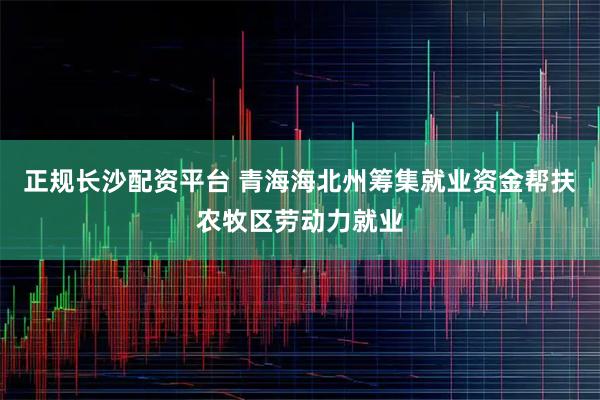 正规长沙配资平台 青海海北州筹集就业资金帮扶农牧区劳动力就业