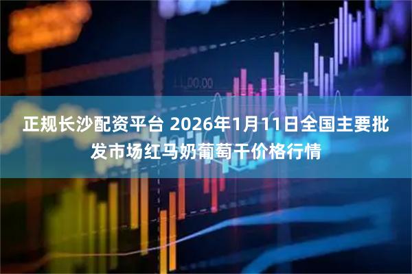 正规长沙配资平台 2026年1月11日全国主要批发市场红马奶葡萄干价格行情