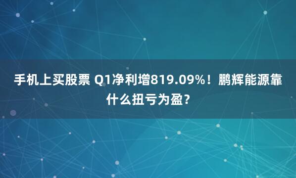 手机上买股票 Q1净利增819.09%！鹏辉能源靠什么扭亏为盈？